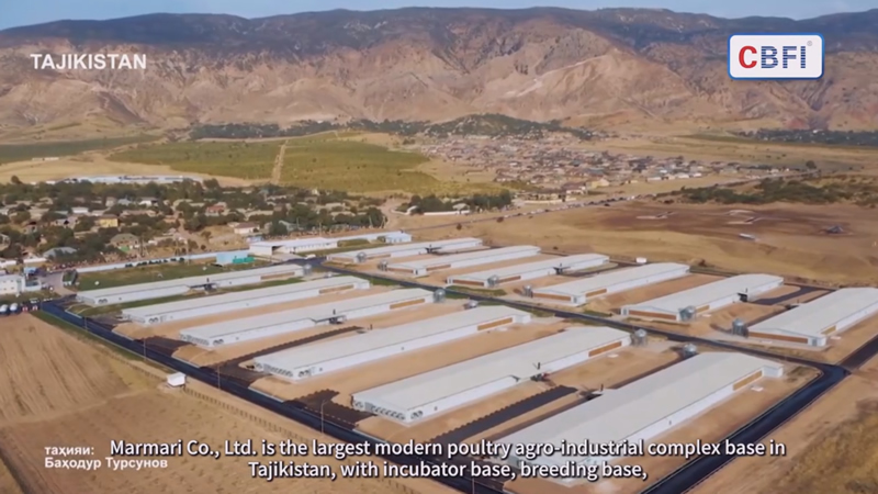 Cámara frigorífica en un matadero en Tayikistán