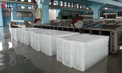Malasia-Gran proyecto de fábrica de ladrillo de hielo de 60T